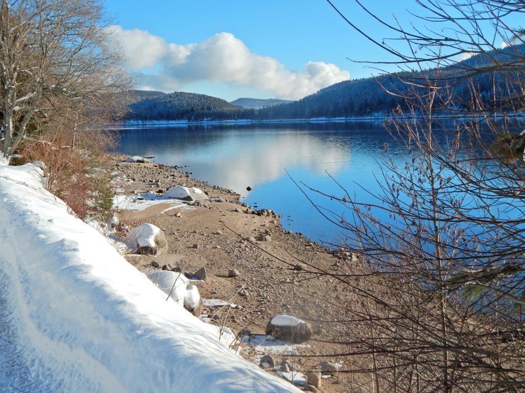 Hochschwarzwald-Hof Otel Schluchsee Dış mekan fotoğraf