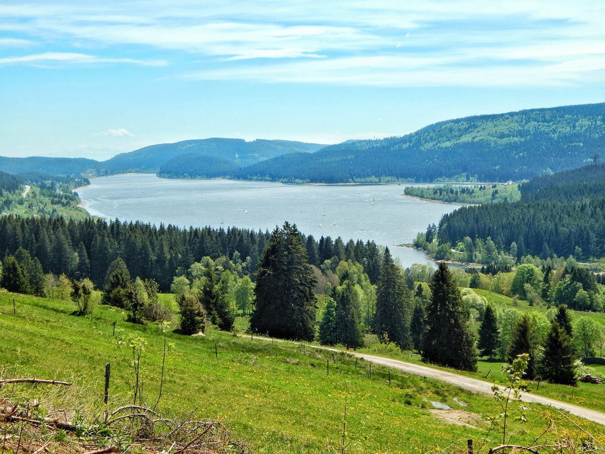 Hochschwarzwald-Hof Otel Schluchsee Dış mekan fotoğraf