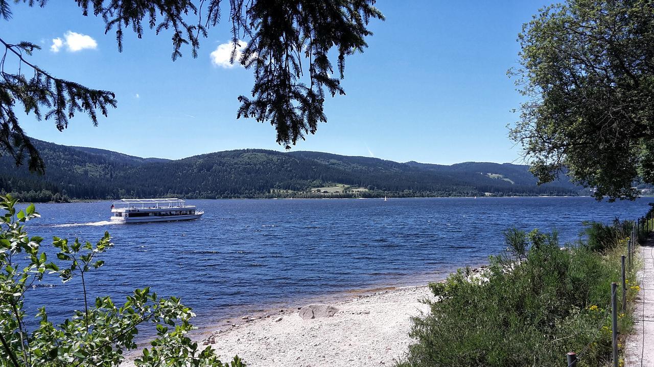 Hochschwarzwald-Hof Otel Schluchsee Dış mekan fotoğraf